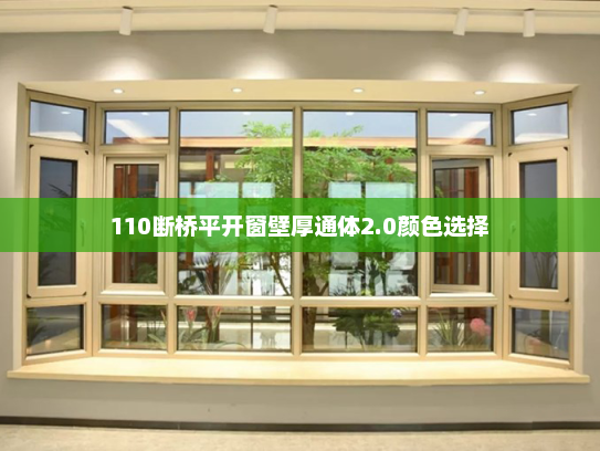 110断桥平开窗壁厚通体2.0颜色选择